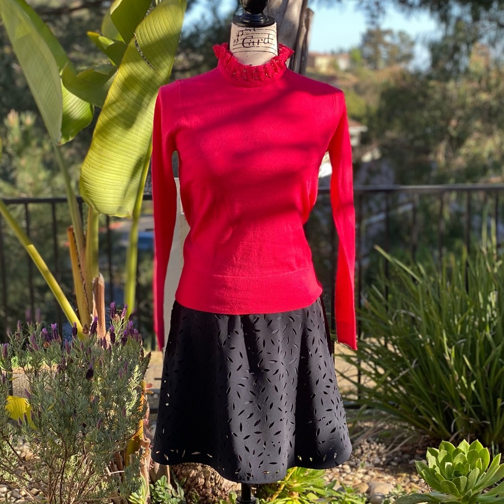 Banana Republic Skirt
